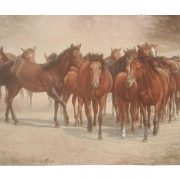 Dick de Vries - Paarden - NL-Antiques