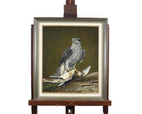 Havik met Vlaamse gaai, Jan Teunissen, De Baanhoeve, NL Antiques